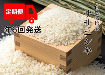 【年6回お米定期便】《ササニシキ：玄米》15kg 100サイズの画像