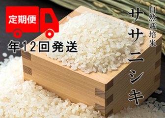 【年12回発送お米定期便】《ササニシキ：玄米》15kg 100サイズの画像