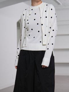 Inez Sheer Dot OffWhite/Black画像
