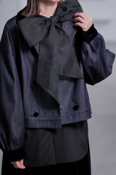 【10月中旬-10月末デリバリー予定】Alber Silk Denim画像