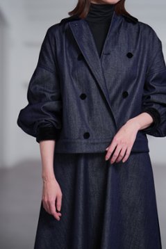 【10月中旬-10月末デリバリー予定】Alber Silk Denim画像