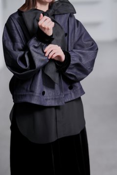 【10月中旬-10月末デリバリー予定】Alber Silk Denim画像