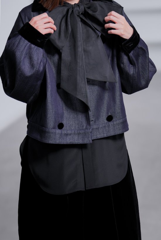 【10月中旬-10月末デリバリー予定】Alber Silk Denim画像