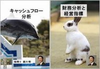 キャッシュフロー分析・財務分析と経営指標 2巻セット画像