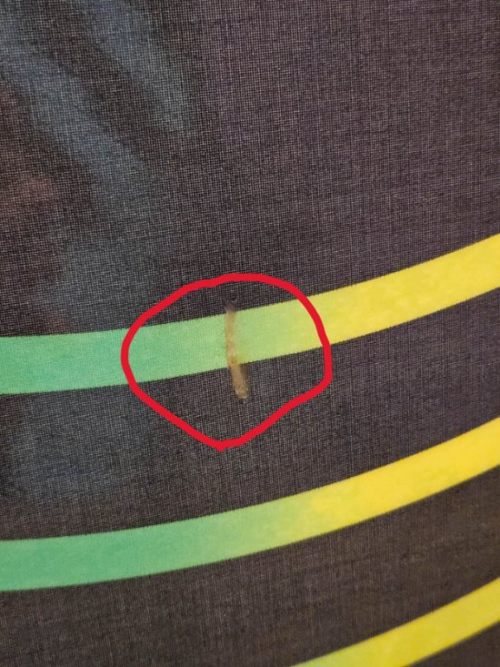  ACE V2 54inアウトレット（サイズ L(54)）画像