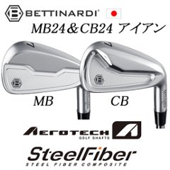 MB24/CB24 #6～PW 5本組  エアロテック　スチールファイバーシャフト各種　(トゥルーテンパー) 　BETTINARDI ベティナルディ画像