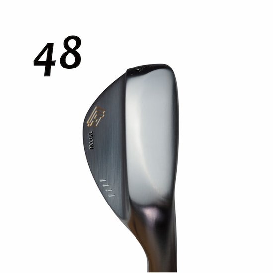 藤本技工 FG-101TW TOUR FORGED   DERAMAX シャフト各種(03iシリーズなど)　デラマックス 画像