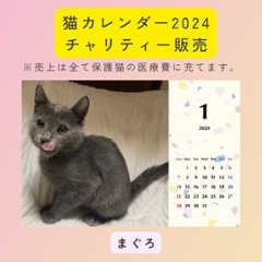 まぐろ2024年カレンダーの画像