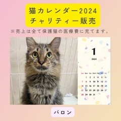 バロン2024年カレンダーの画像