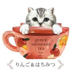 【冬季限定】猫紅茶*サバトラの画像