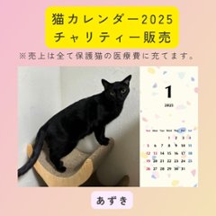 あずき2025年カレンダーの画像