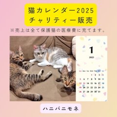 ハニバニモネ2025年カレンダーの画像