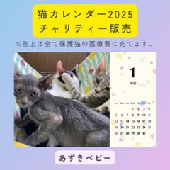 あずきベビー2025年カレンダーの画像