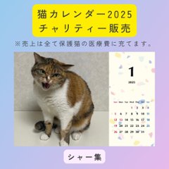 シャー集2025年カレンダーの画像