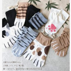 ねこ靴下*5種類　B画像