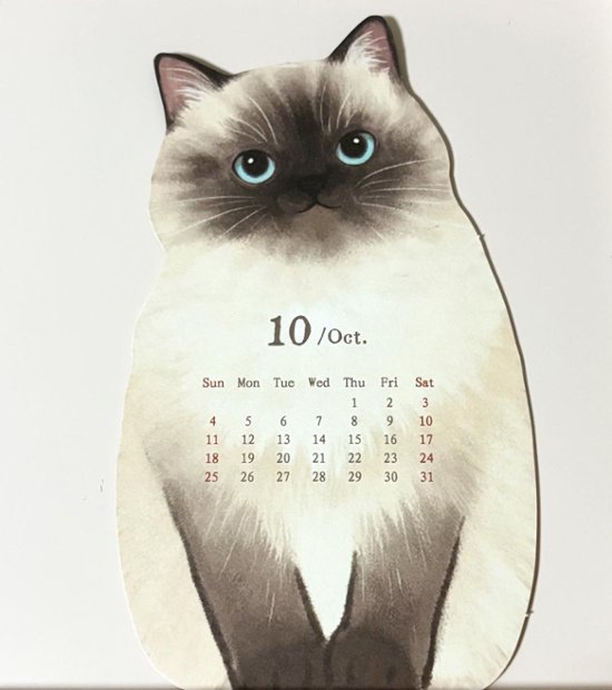 2026年猫カレンダー画像