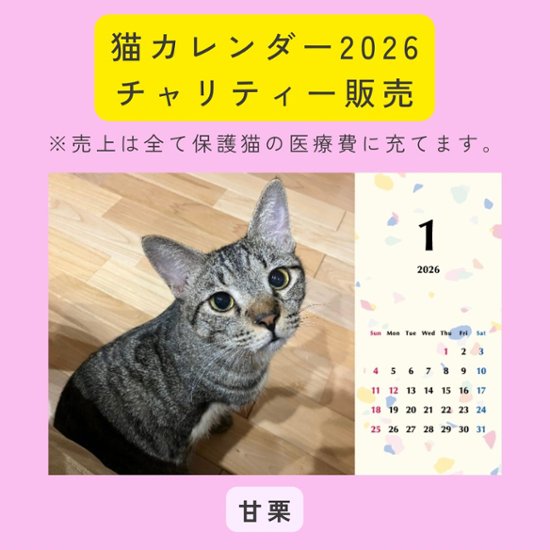 甘栗2026年カレンダー画像