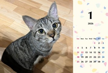 甘栗2026年カレンダー画像