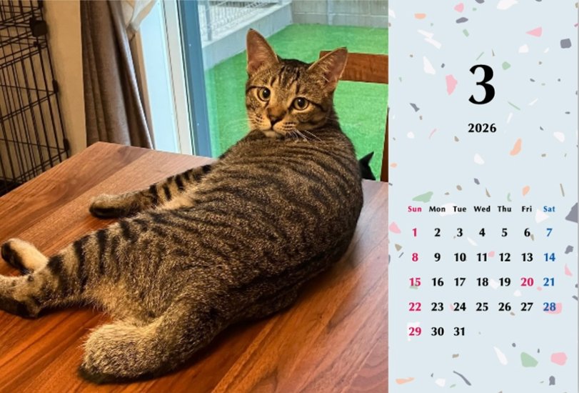 甘栗2026年カレンダー画像