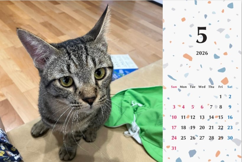 甘栗2026年カレンダー画像