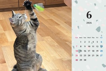 甘栗2026年カレンダー画像