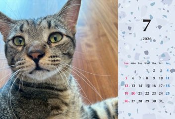 甘栗2026年カレンダー画像