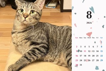 甘栗2026年カレンダー画像