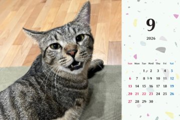 甘栗2026年カレンダー画像