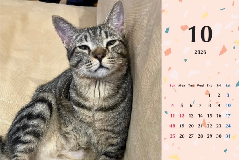 甘栗2026年カレンダー画像