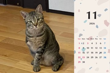 甘栗2026年カレンダー画像