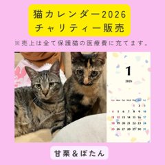 あまぼた2026年カレンダーの画像