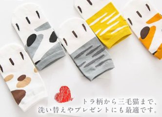 ねこ靴下*5color画像