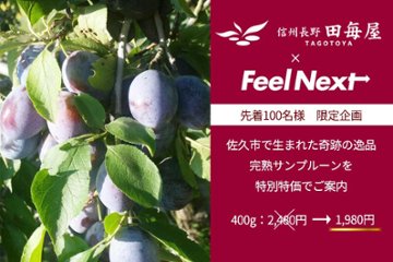 【先着100名様限定】完熟サンプルーン　400g×4パックの画像