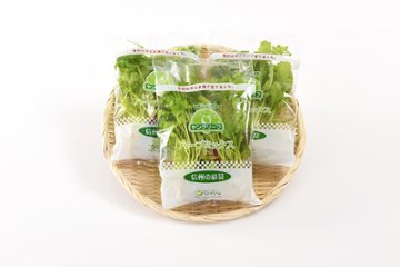 定期便fromベジドリーム「ヤングリーフ・ミックス 8株入×5袋」の画像
