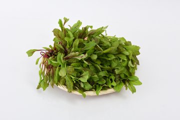 定期便fromベジドリーム「ヤングリーフ・ミックス 1kg」の画像