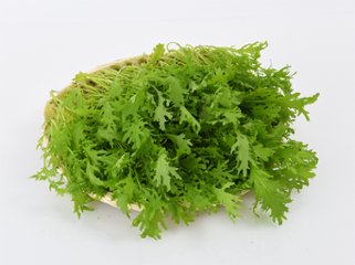定期便fromベジドリーム「ヤングリーフ・からし水菜 1kg」の画像