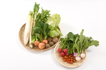 定期便fromまごころふれあい農園「野菜セットM」の画像