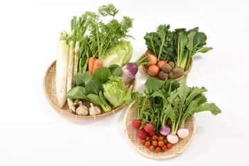 定期便fromまごころふれあい農園「野菜セットL」の画像