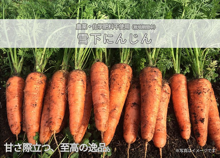 【期間限定】甘さ際立つ・雪下にんじん　4.5kg画像