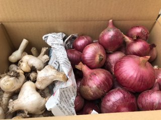 【期間限定】無臭ニンニク1kg＆赤玉ねぎ3kgセットの画像