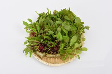 業務用パック　ヤングリーフ・ミックス 1kg画像