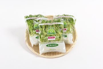 根付きで鮮度長持ち！ヤングリーフ・クレソン 8株入×5袋の画像