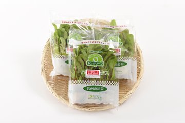 根付きで鮮度長持ち！ヤングリーフ・スイスチャード（赤） 8株入×5袋の画像