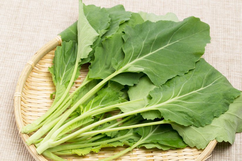 栄養満点！青汁の素　ケール 500g画像