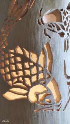鯉画像