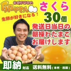 さくら卵30個の画像