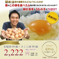 ★ギフト利用不可(ご依頼主様と送付先が異なる場合　自動キャンセルとなります。)　当店を初めての御客様限定　有精卵とさくら卵の食べ比べセット★ 画像