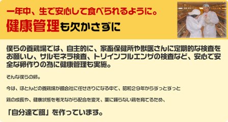 平飼い卵の温泉卵50個画像