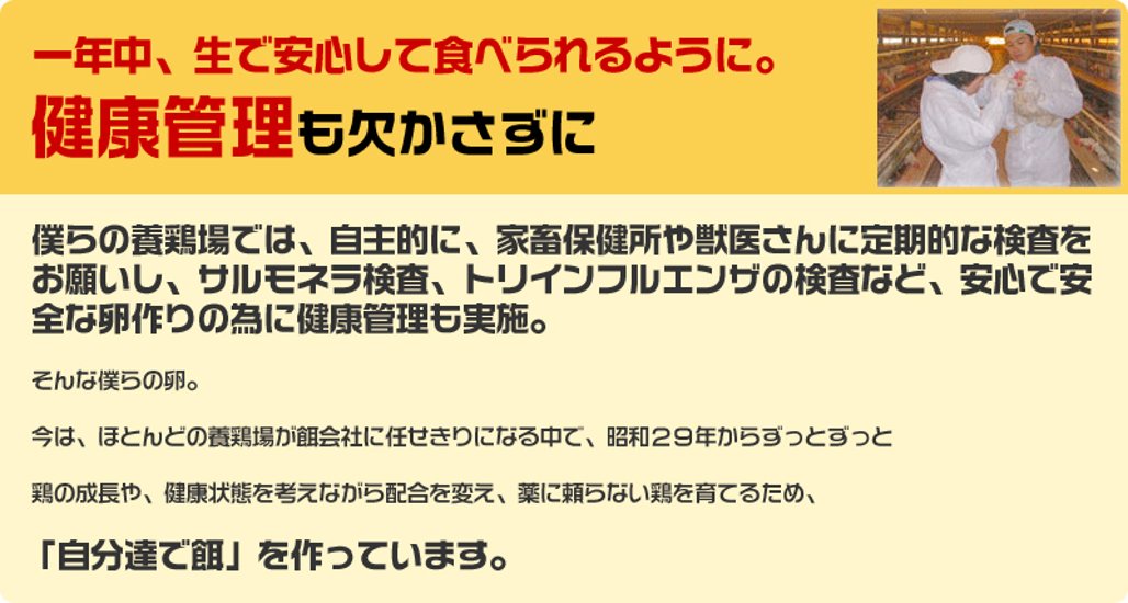 平飼い卵の温泉卵50個画像