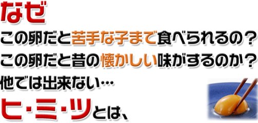 平飼い卵の温泉卵50個画像